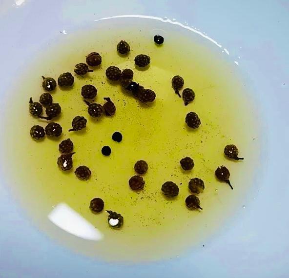 Make the Sichuan Peppercorn Water