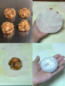 Wrap the Shumai