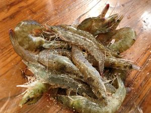 Shrimp: Place live shrimp in the freezer for 5 minutes to stun them (makes them easier to handle). Use scissors to snip the back and remove the dark vein (de-vein).