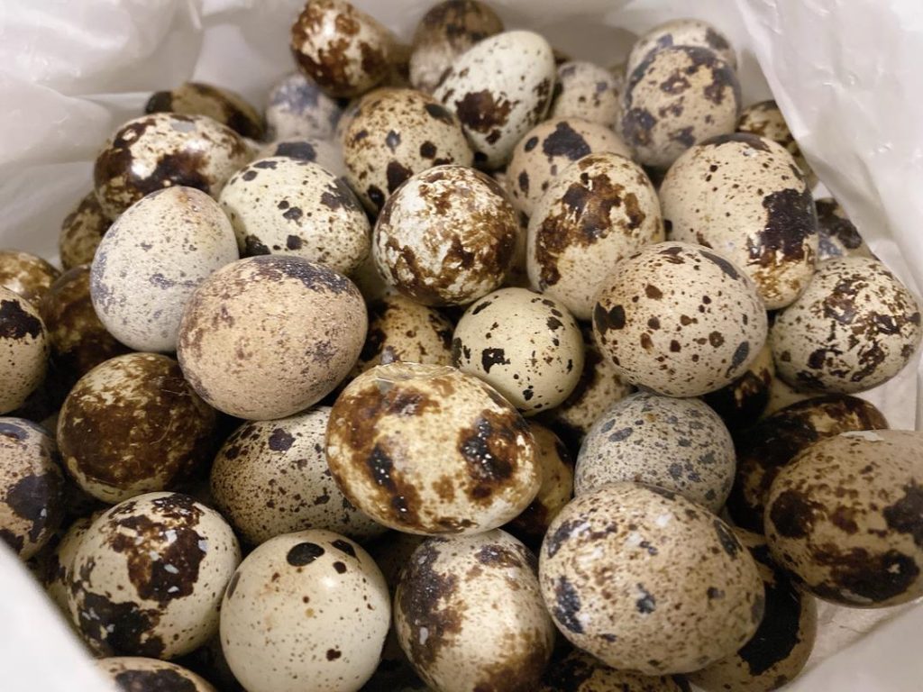 Quail eggs have very delicate shells. Place them in a colander and rinse them gently under cold running water to remove any debris. Do not scrub them roughly. Gather all your dry spices in a small bowl so they are ready to drop into the pot.