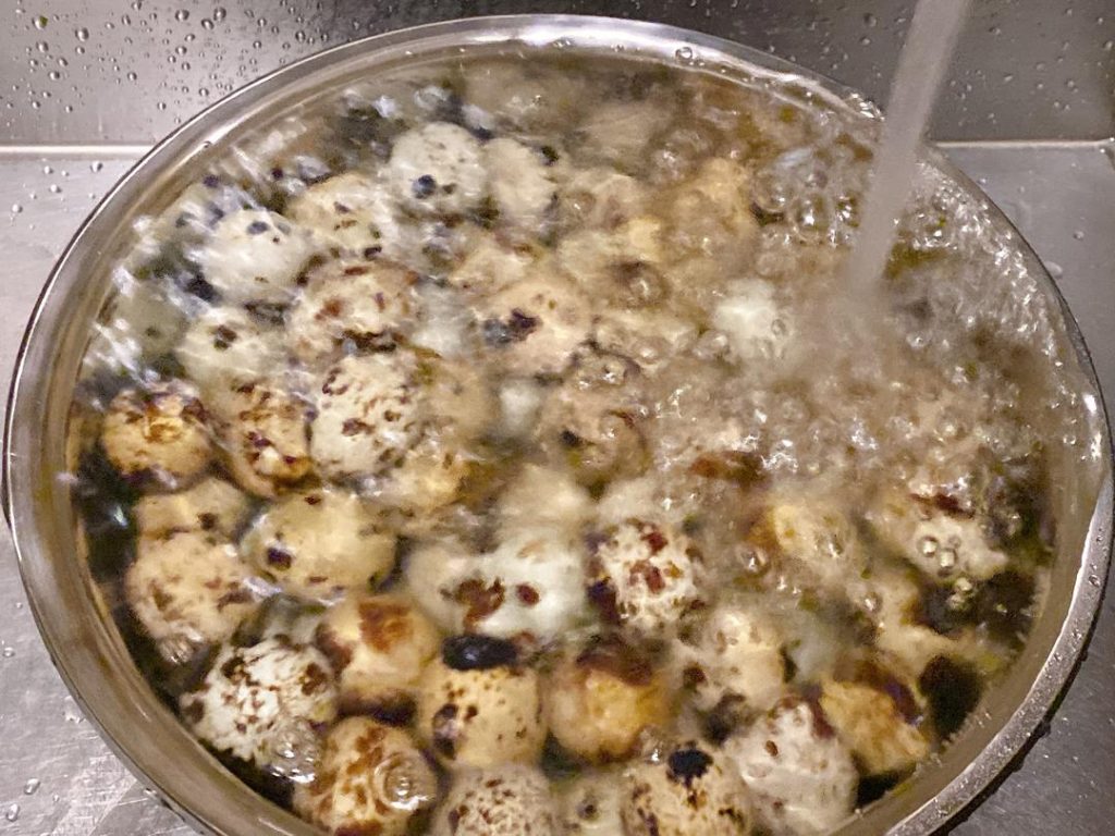 Using a slotted spoon, immediately transfer the cooked quail eggs into a large bowl filled with cold water (ice water is even better). Let them sit for 5 minutes.
