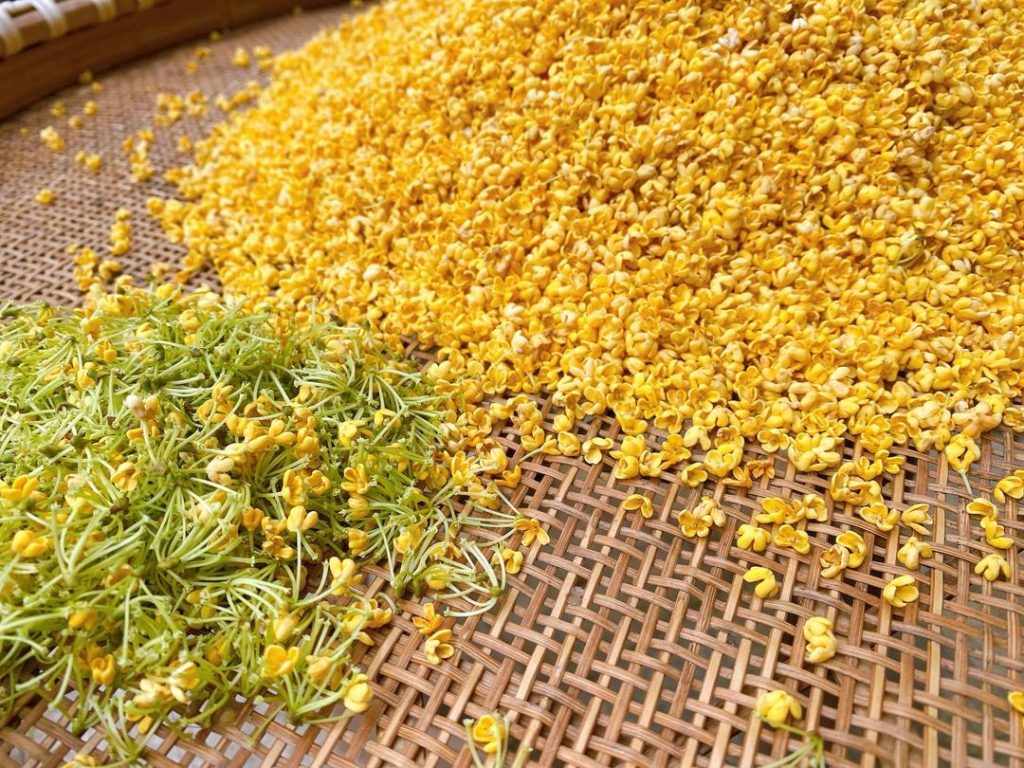 Sort the Flowers: Carefully sift through your freshly picked osmanthus. Pick out any stems, leaves, or impurities.