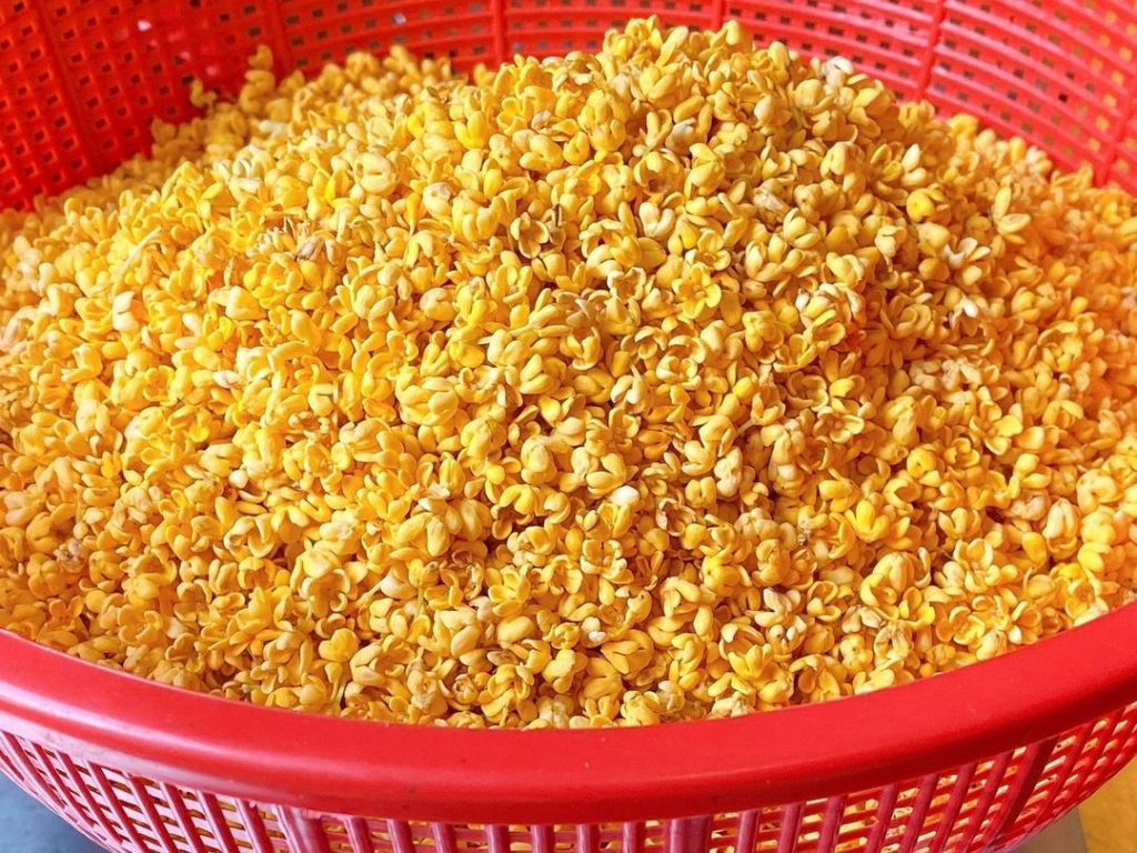 Sort the Flowers: Carefully sift through your freshly picked osmanthus. Pick out any stems, leaves, or impurities.