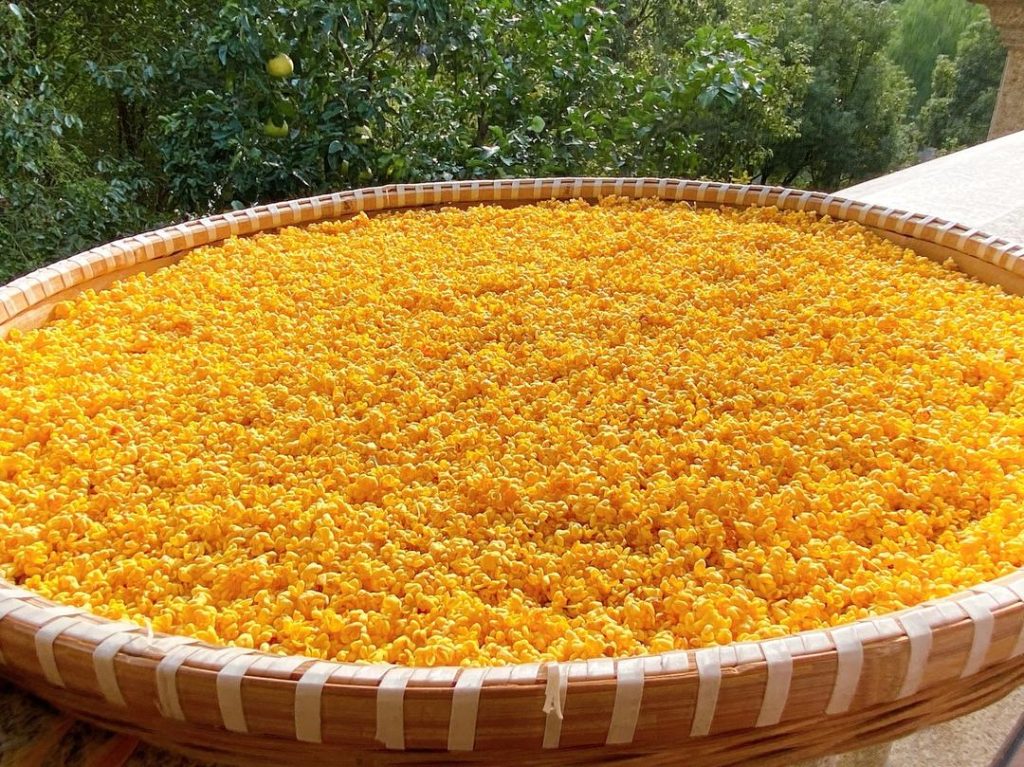 Drain and Dry (2–3 hours): Drain the flowers thoroughly. Lay them out on kitchen paper towels and gently pat them to absorb excess moisture. Let them air dry in a well-ventilated area until the surface moisture is completely gone. Do not over-dry them or leave them in direct sunlight, as this will cause them to oxidize and lose their vibrant color. (Your 500g yield should shrink slightly during this process).