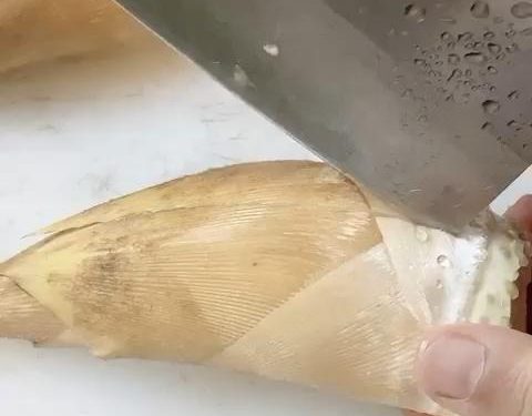 Peeling the Shoots: The easiest way to peel a fresh bamboo shoot is to make a deep lengthwise slit down the side with the heel of your knife, cutting through the tough outer leaves but stopping before you hit the tender core. Then, pry the leaves off with your fingers.