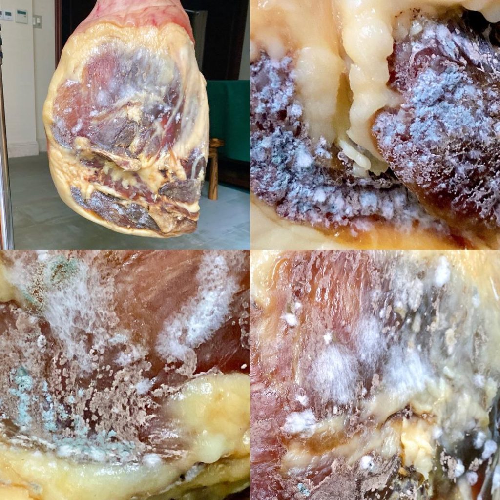 Step 4: Fermentation and Aging