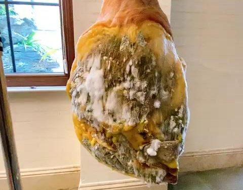 Step 4: Fermentation and Aging