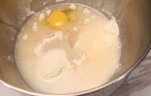 In a large mixing bowl (or stand mixer bowl), combine the water, egg, sugar, bread flour, milk powder, salt, and yeast.