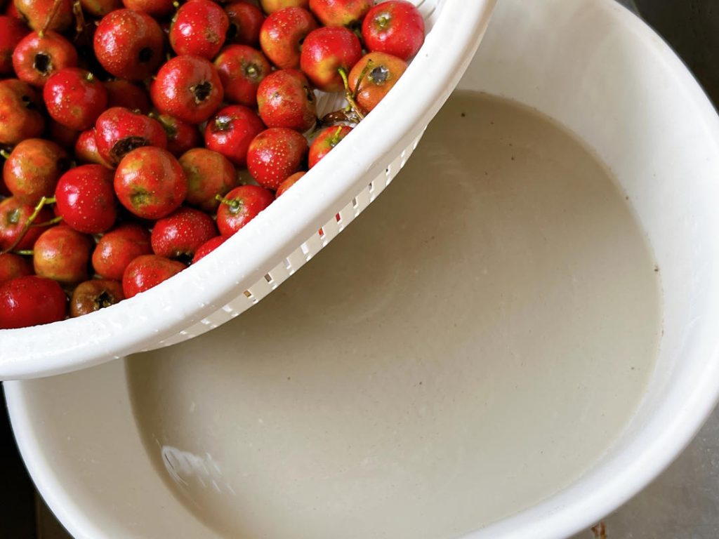 First, add your berries to a large bowl of water with 2 tablespoons of flour. Rub the berries continuously in this flour-water mixture. You will quickly notice the water turning murky as the flour lifts away the dirt. Rinse them thoroughly under cold running water until the water runs clear.
