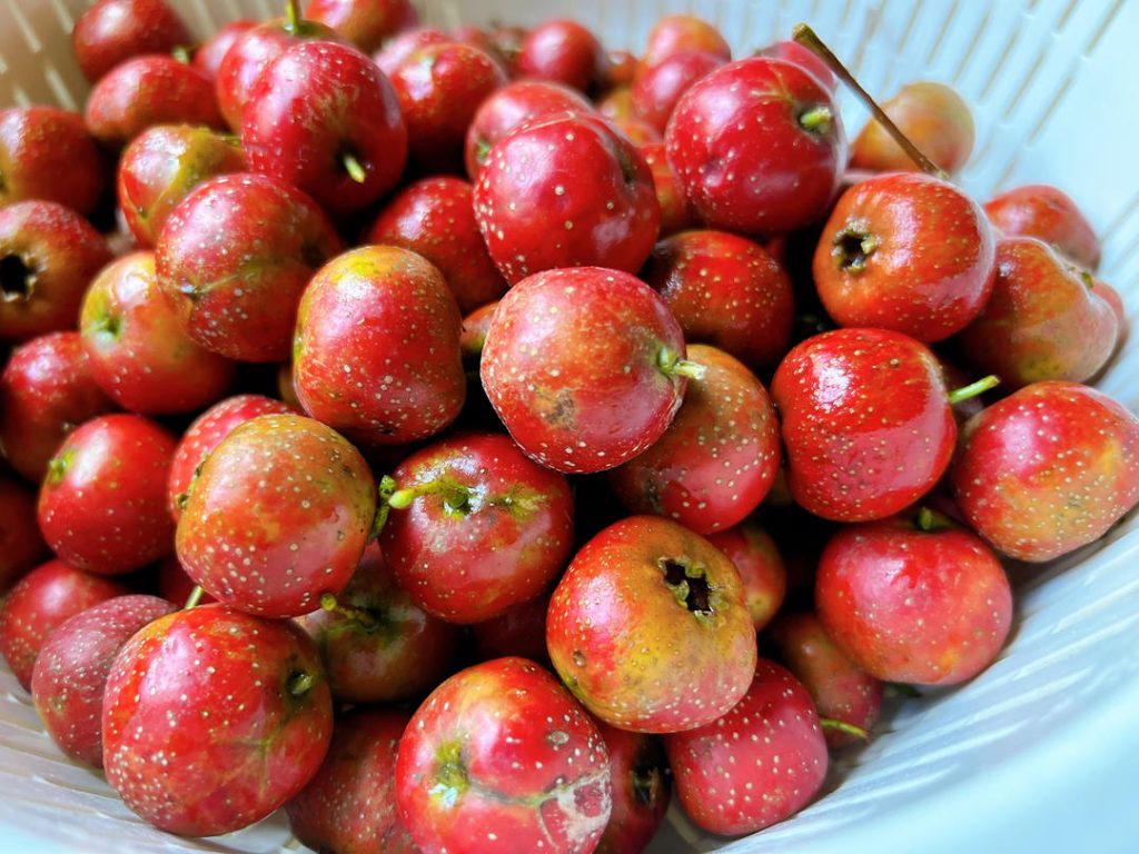 First, add your berries to a large bowl of water with 2 tablespoons of flour. Rub the berries continuously in this flour-water mixture. You will quickly notice the water turning murky as the flour lifts away the dirt. Rinse them thoroughly under cold running water until the water runs clear.