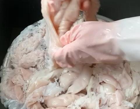 The outside is now clean, but we must clean the inside. To make this easier, use kitchen shears to cut the long intestine into shorter, 6-inch (15 cm) sections.