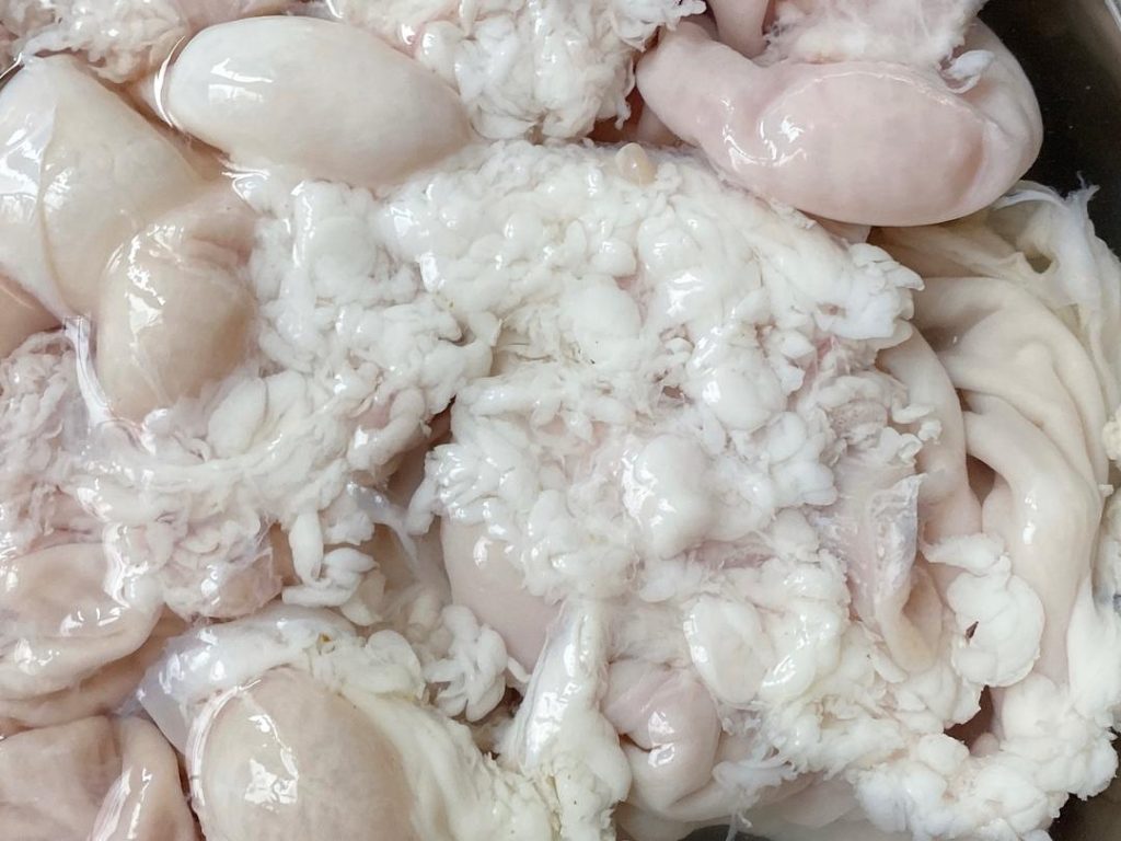 Once inverted, you will see clumps of white fat and dark, reddish, granular lymph nodes. Use your fingers or scissors to pull off and discard the lymph nodes. They must be removed. You can leave a little white fat for flavor, or strip it entirely for a leaner dish.