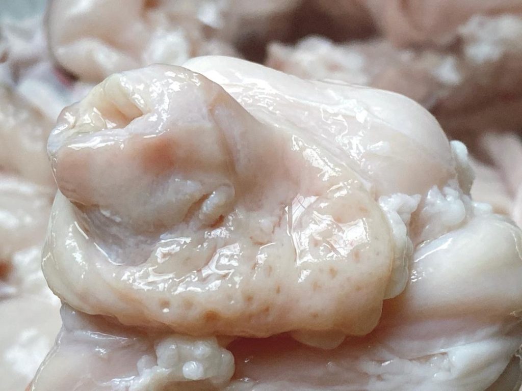 Clean Pork Intestines