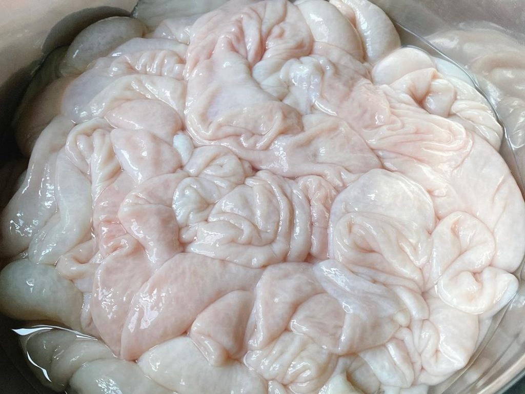 Clean Pork Intestines