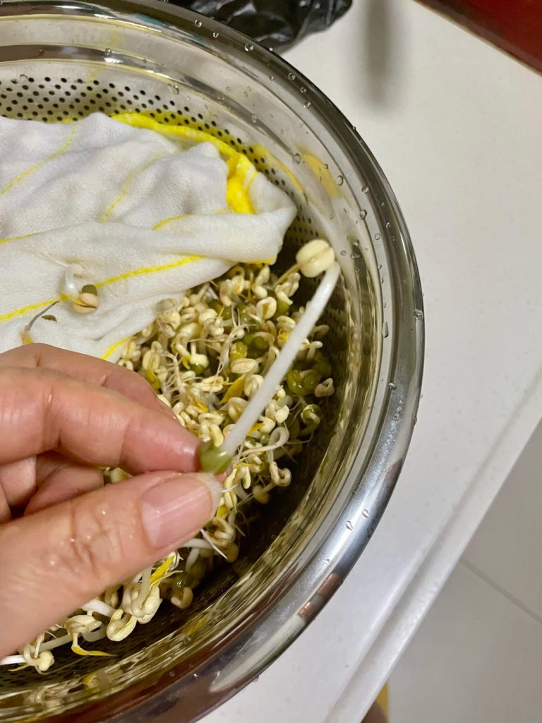 Check Growth: By the morning of Day 5 (or Day 4 in warm weather), the sprouts should be 3-4 inches long with thick, white stems and small yellow leaves.