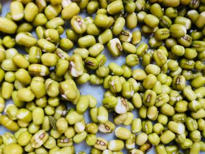 After soaking, the beans should have swelled significantly, and the green skins should be just starting to split, revealing a tiny white bud (the radical).