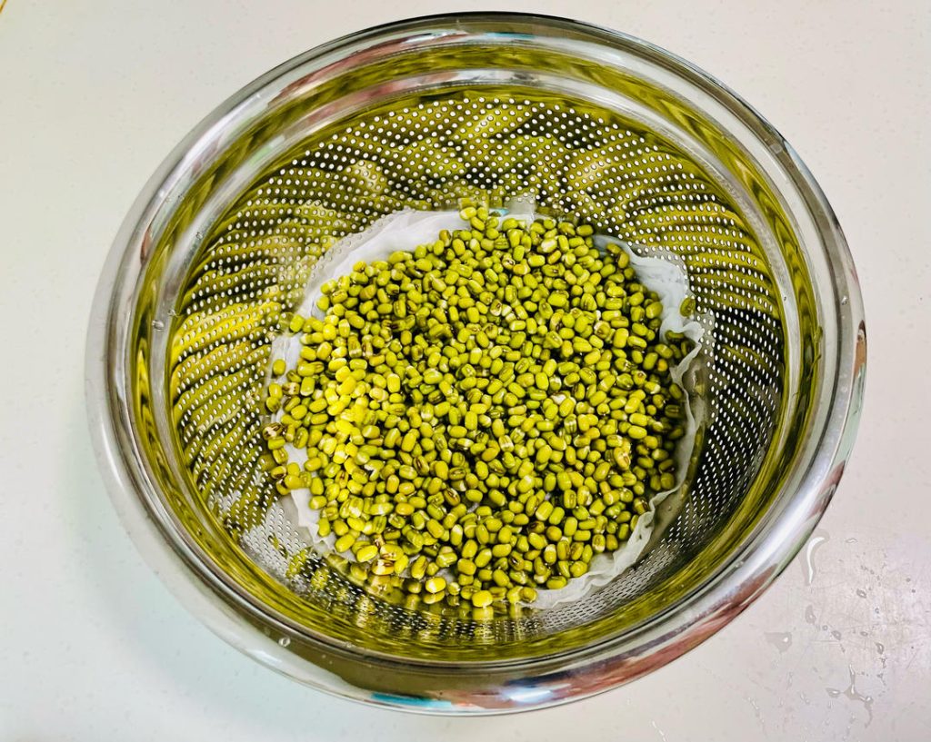 Layer the Beans: Drain the soaked beans and spread them evenly over the wet cloth.