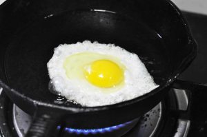 Fry the Egg