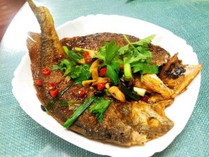 Croaker