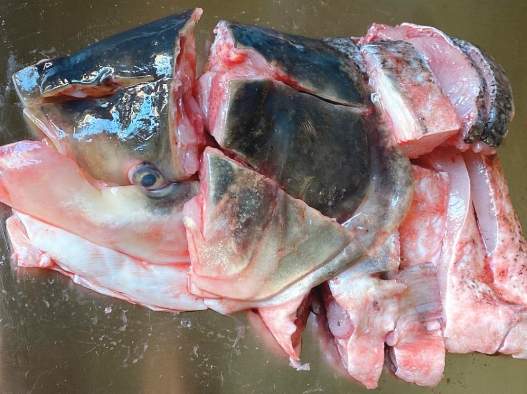 Clean the Fish: Rinse the fish head chunks under cold water. Carefully remove any remaining blood clots or black membranes from the belly cavity, as these harbor bitter, fishy flavors.