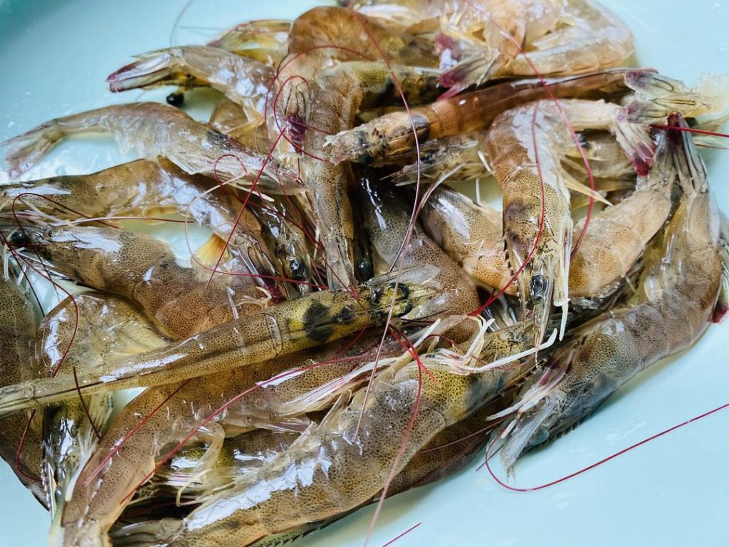 The Shrimp Freeze Hack