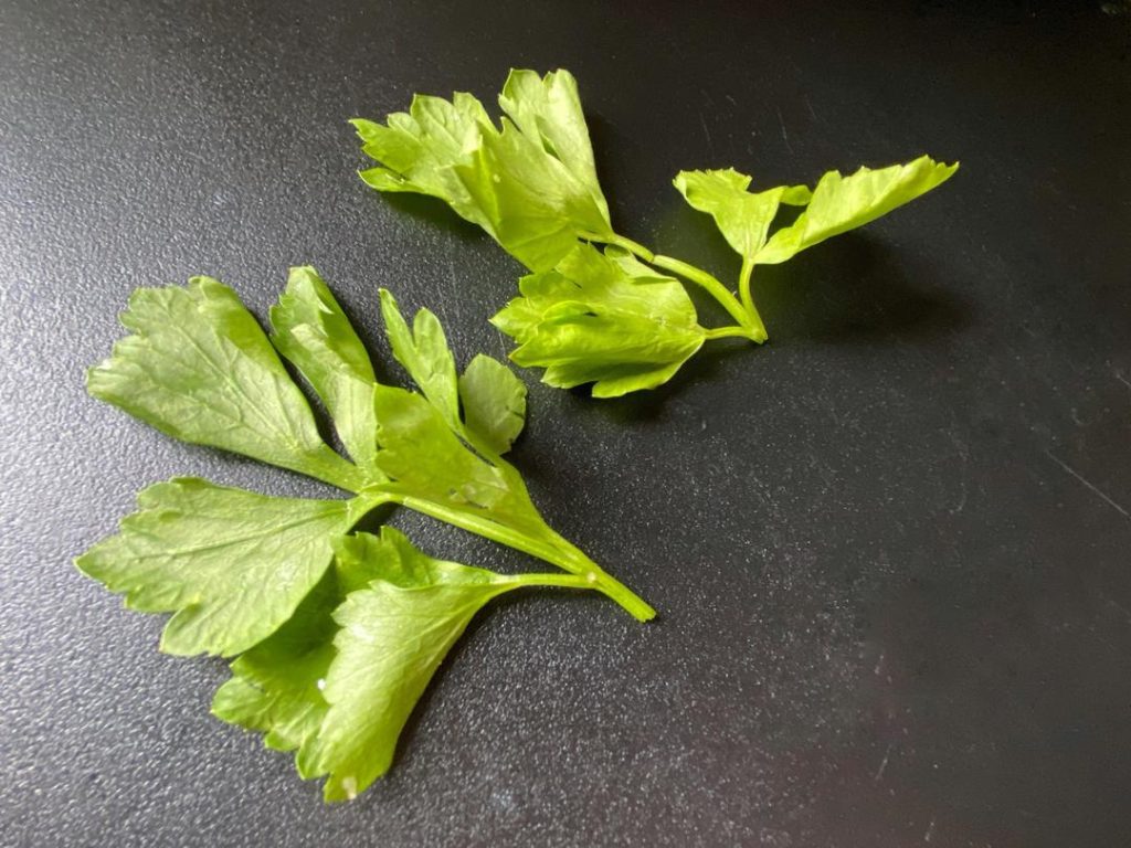 Chinese Celery (Local Celery)