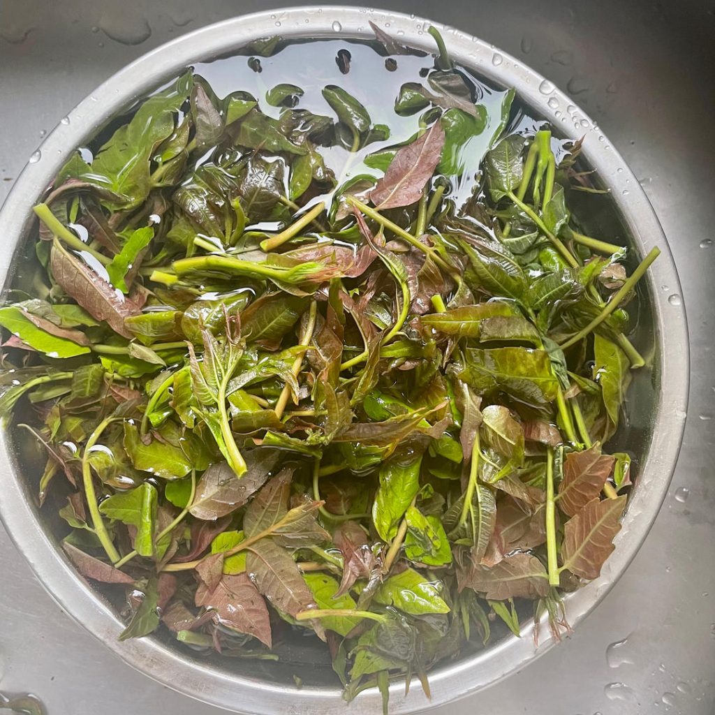 Soak the Toon: Submerge the fresh toon leaves in a bowl of cold water with a pinch of salt for 30 minutes to draw out any hidden dirt or bugs. Rinse thoroughly.