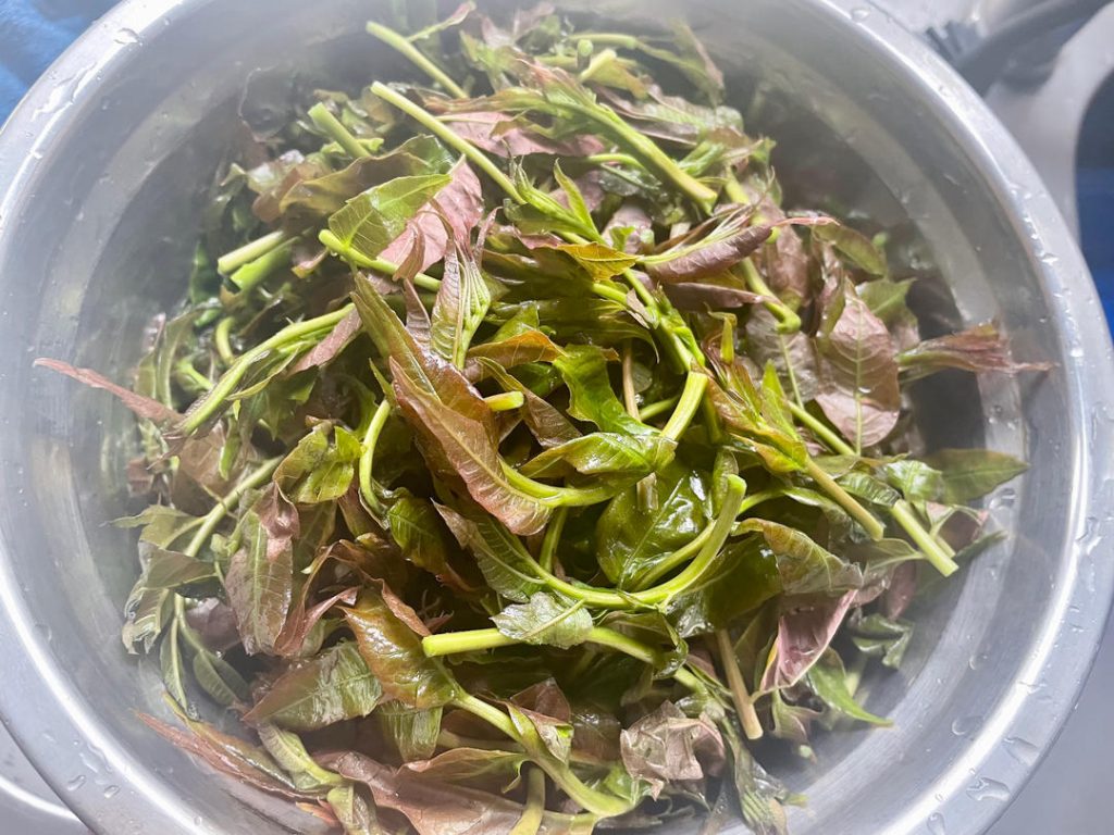 Soak the Toon: Submerge the fresh toon leaves in a bowl of cold water with a pinch of salt for 30 minutes to draw out any hidden dirt or bugs. Rinse thoroughly.