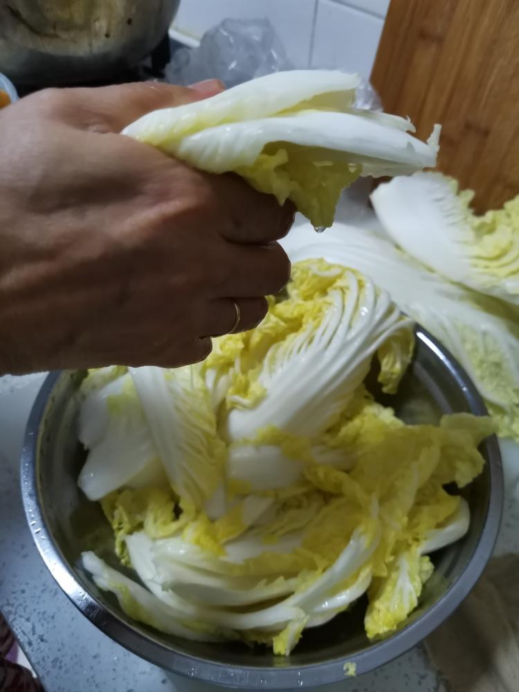 The Wilting Phase (1 Hour)