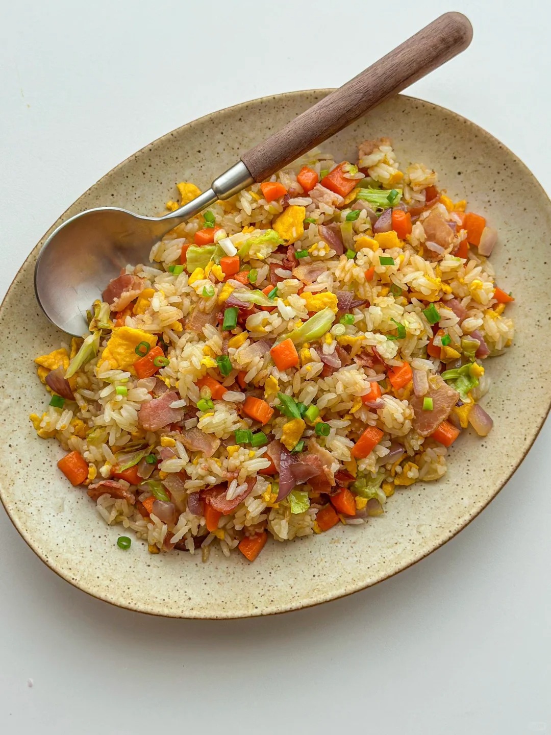 Fried Rice Retort How to Reheat Fried Rice Properly - Woks of Love