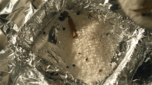 Aromatic Salt-Baked Claws