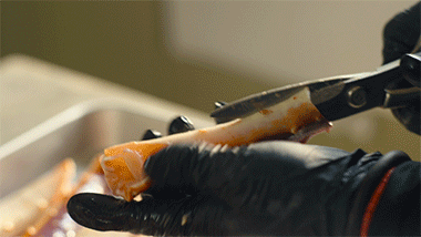 Before we fire up the stove, we need to clean and butcher the crab.