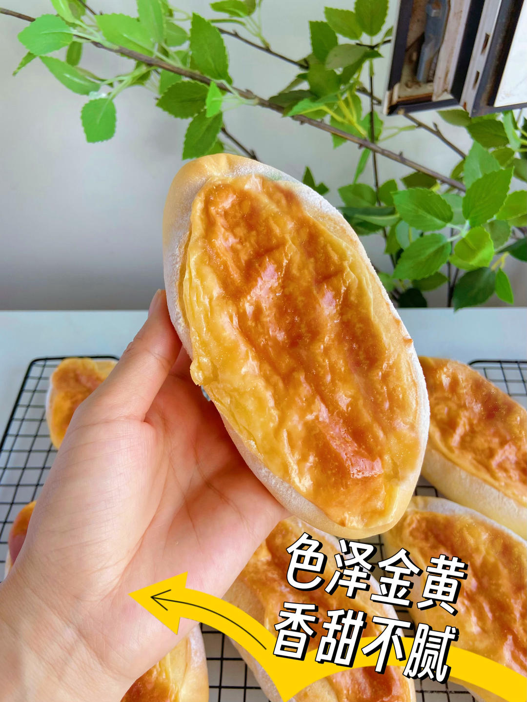 The cheese sauce bakes into a glossy, milky crust with caramelized edges - rich and concentrated.