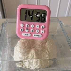 Cover the bowl and let the dough rest for 15 minutes so the flour hydrates and gluten develops.
