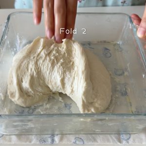 Repeat the stretch-and-fold all the way around the dough one final time.