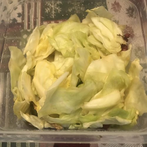 Crunchy pickled cabbage in a jar