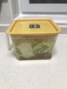 Jar the cabbage, shake, and refrigerate for one day