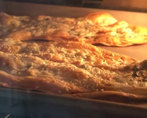 Authentic Mei Gan Cai Guokui - crispy Chinese stuffed flatbread with pork and preserved mustard greens