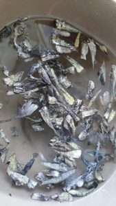 Wash the torn mushroom in many changes of water, rubbing gently and draining, until the water runs clear.
