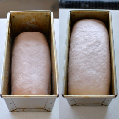 Place the loaf in the lined mold and let it proof until puffy and risen.