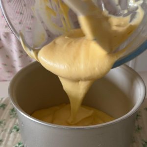 perfect-rice-cooker-cake-chao-wan-mei-dian-fan-guo-dan-gao-s15.jpg