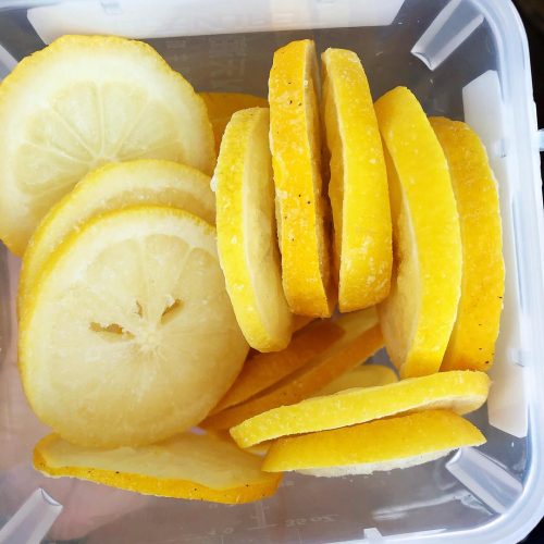 Fresh frozen lemon slices for storage
