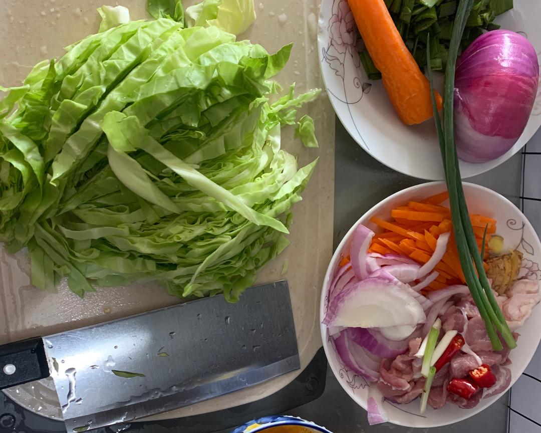 Sliced pork, ginger, carrot, onion and cabbage prepped