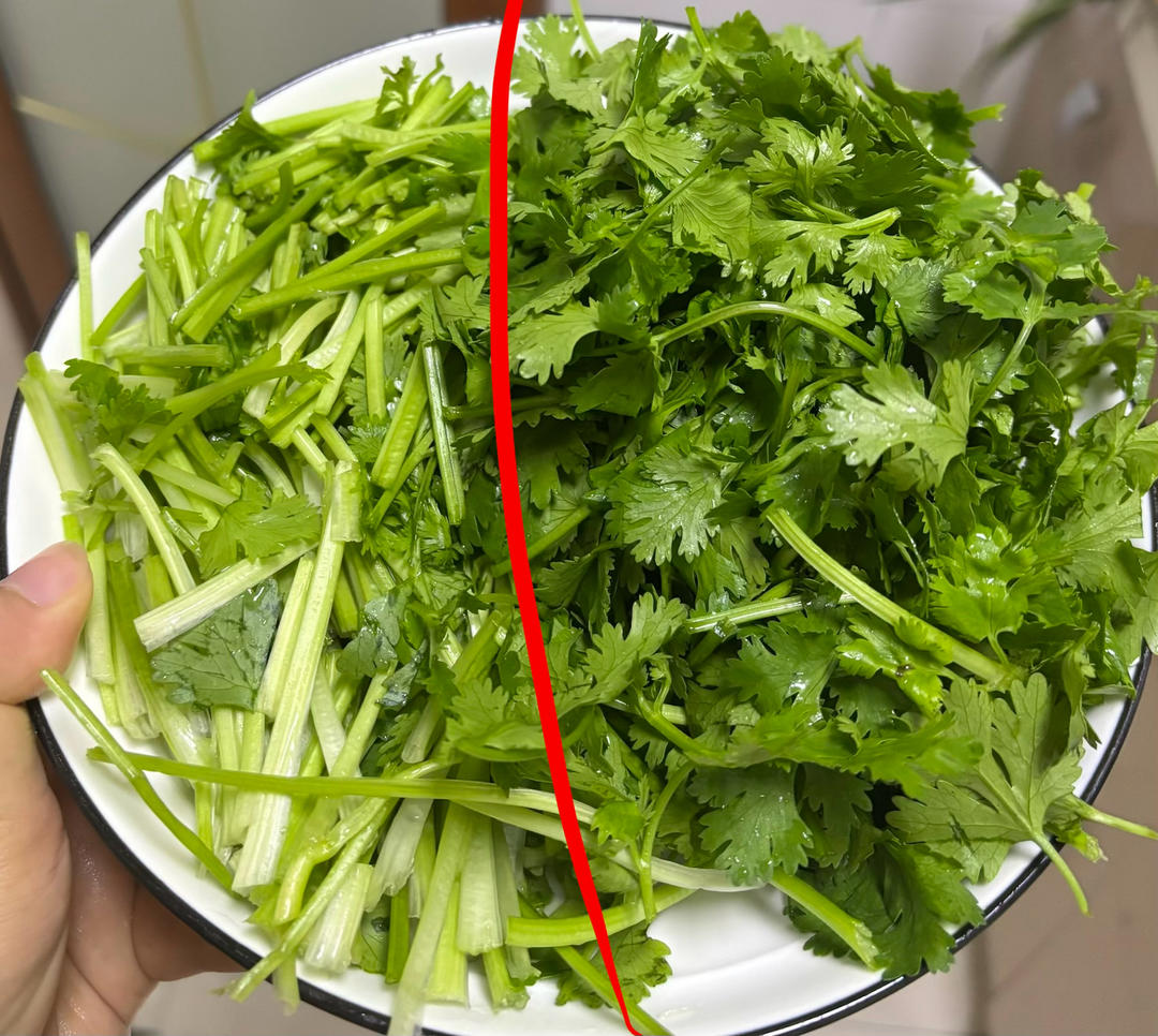 Separate the cilantro stems and leaves, cutting the stems into pieces
