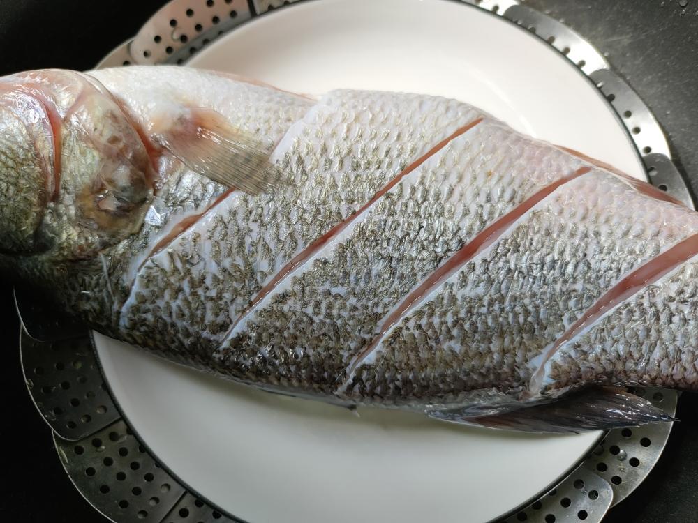 Garnishing the steamed fish with scallions and ginger