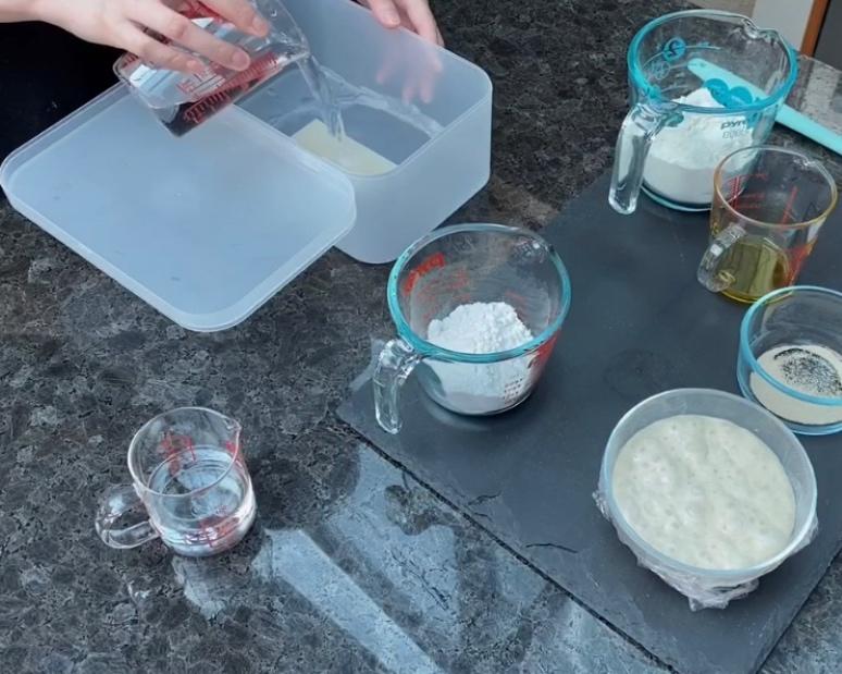 Bubbly poolish starter after 12 hours of fermentation