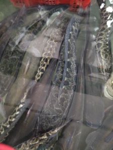Fresh black fish fillets with the head and bones bagged separately
