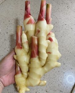 Choose young tender ginger with pale skin for the pickle