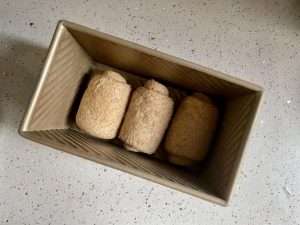 Load the rolled dough into the loaf pan and cover it for the second proof