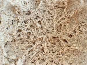 Check the poolish for a clear honeycomb structure before mixing the main dough